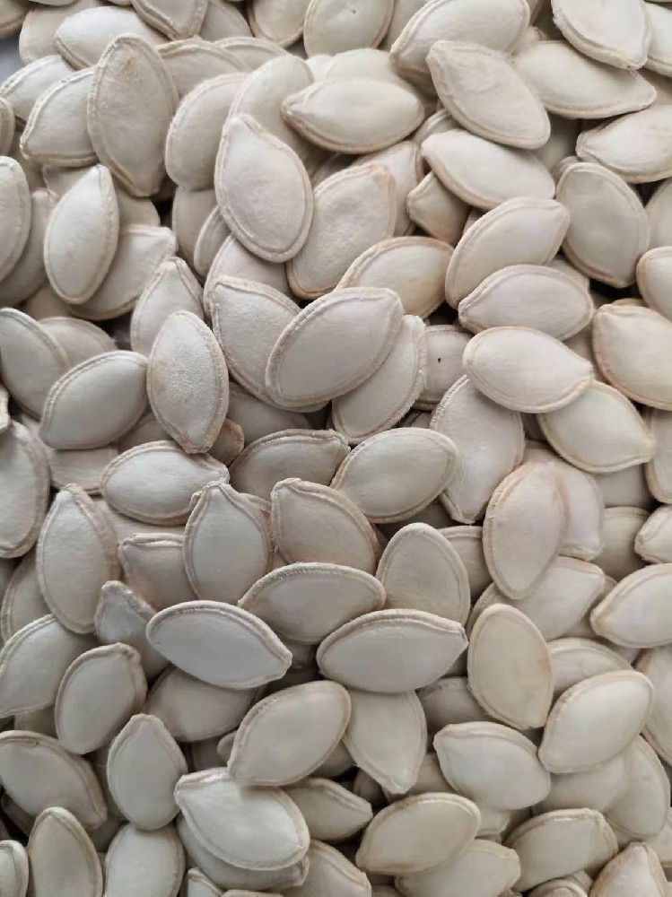 Pumpkin seeds